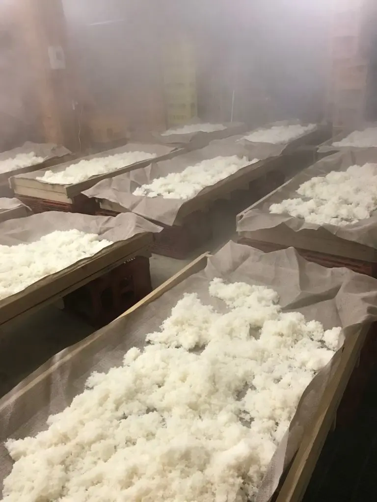 cooling rice