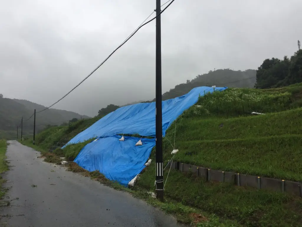 Sliding rice field after flooding