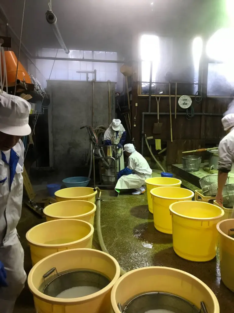 washing rice