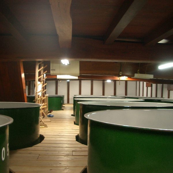 Brewing tanks