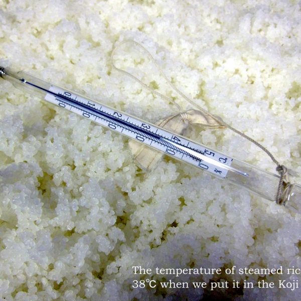 Measuring steamed rice