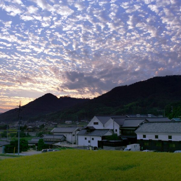 Brewery and Chikurin Mountains