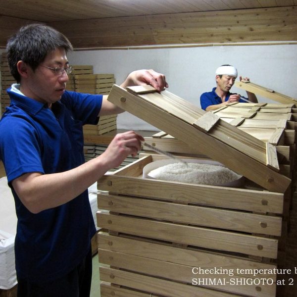 Sorting trays