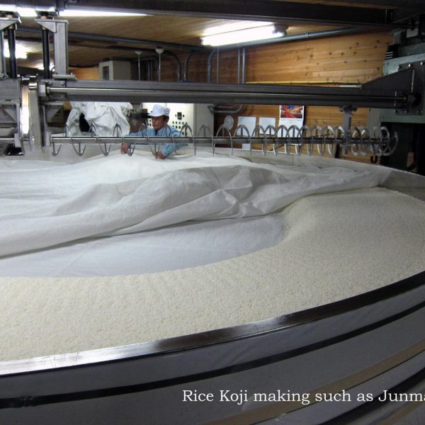 Large scale koji