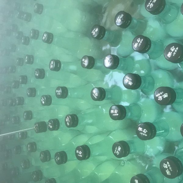 bottle pasteurization