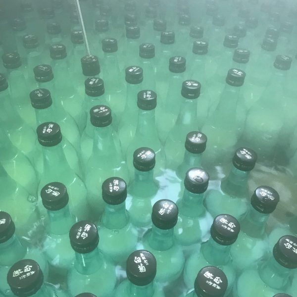 bottle pasteurization