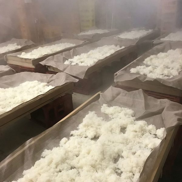 cooling rice