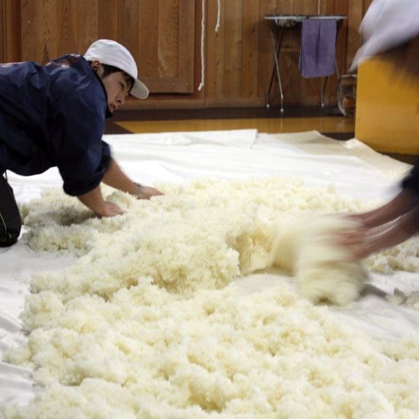 Tajima-san spreading out rice outside muro