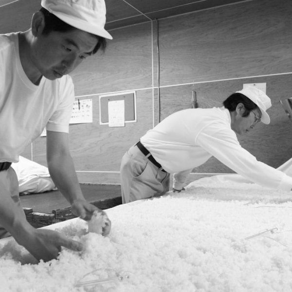 koji making, low res